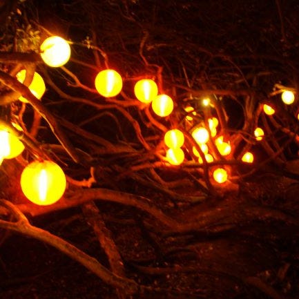 Frania Hall: imperfect poems, writings and meanderings.