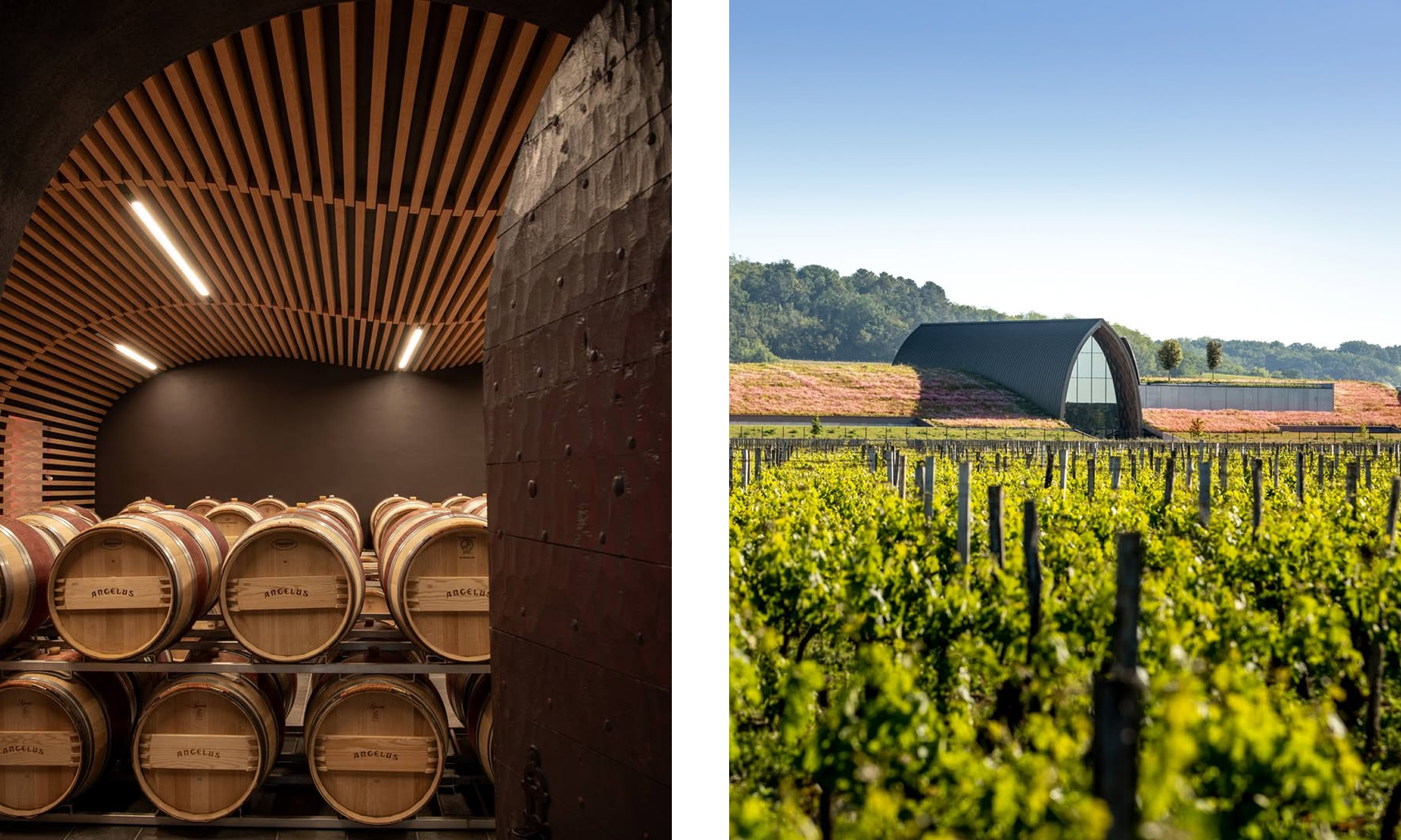 Where a Two-Michelin-Star Chef Eats in Bordeaux