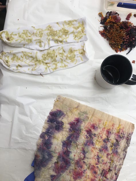 Experimenting with bundle dyeing on organic cotton calico squares and cotton socks, using foraged plant materials such as hollyhock, and food waste like red cabbage.