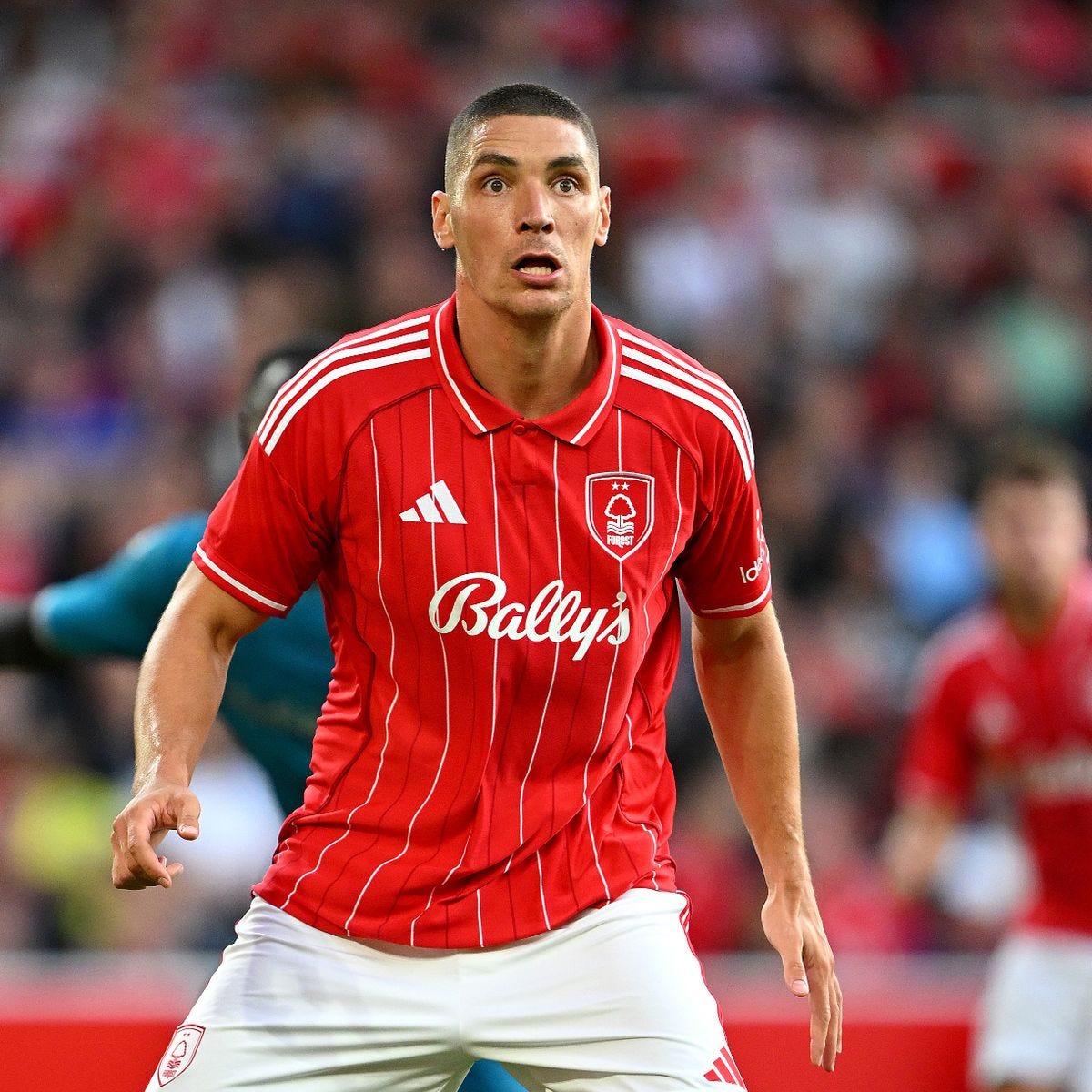 Nikola Milenkovic makes Nottingham Forest prediction after two 'big' signings - Nottinghamshire Live Nikola Milenkovic makes Nottingham Forest prediction after two 'big' signings - Nottinghamshire Live