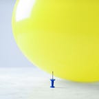 Capital Flows and Asset Markets