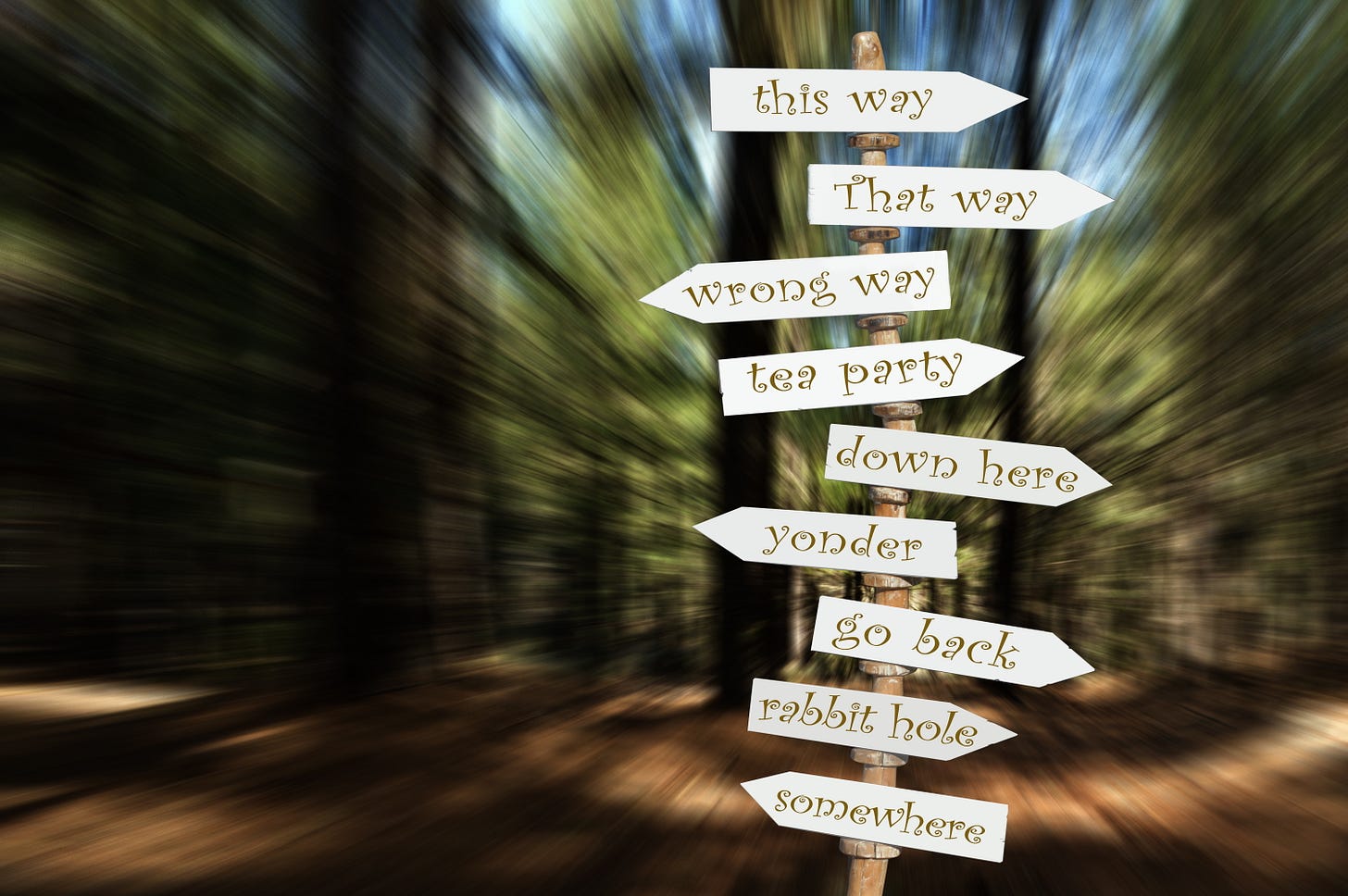 Wooden signpost in a blurred forest with whimsical directional signs referencing Alice in Wonderland, including “this way,” “that way,” and “rabbit hole.”
