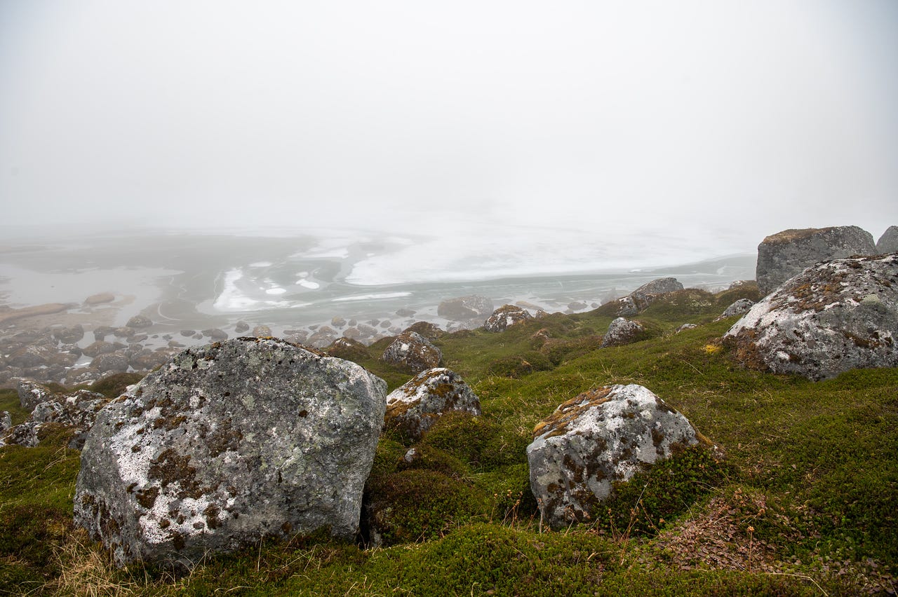 Lichen-covered granite boulders sit in a slope of deep green crowberry and moss in the foreground. Below, the shore of a lake emerges: grey water and rotting ice sheets patterned with white, scattered with rocks, everything beyond a few dozen yards erased by fog.
