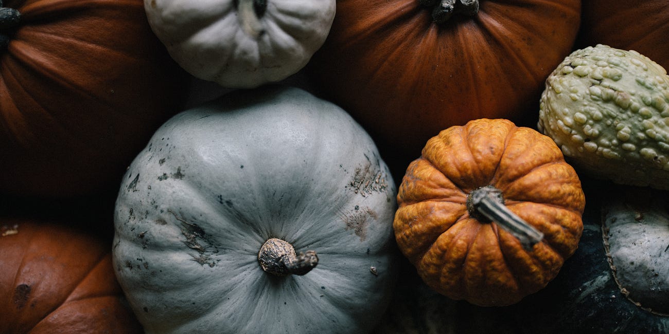 Dish-Covery: Carving Into Our Favorite Squash