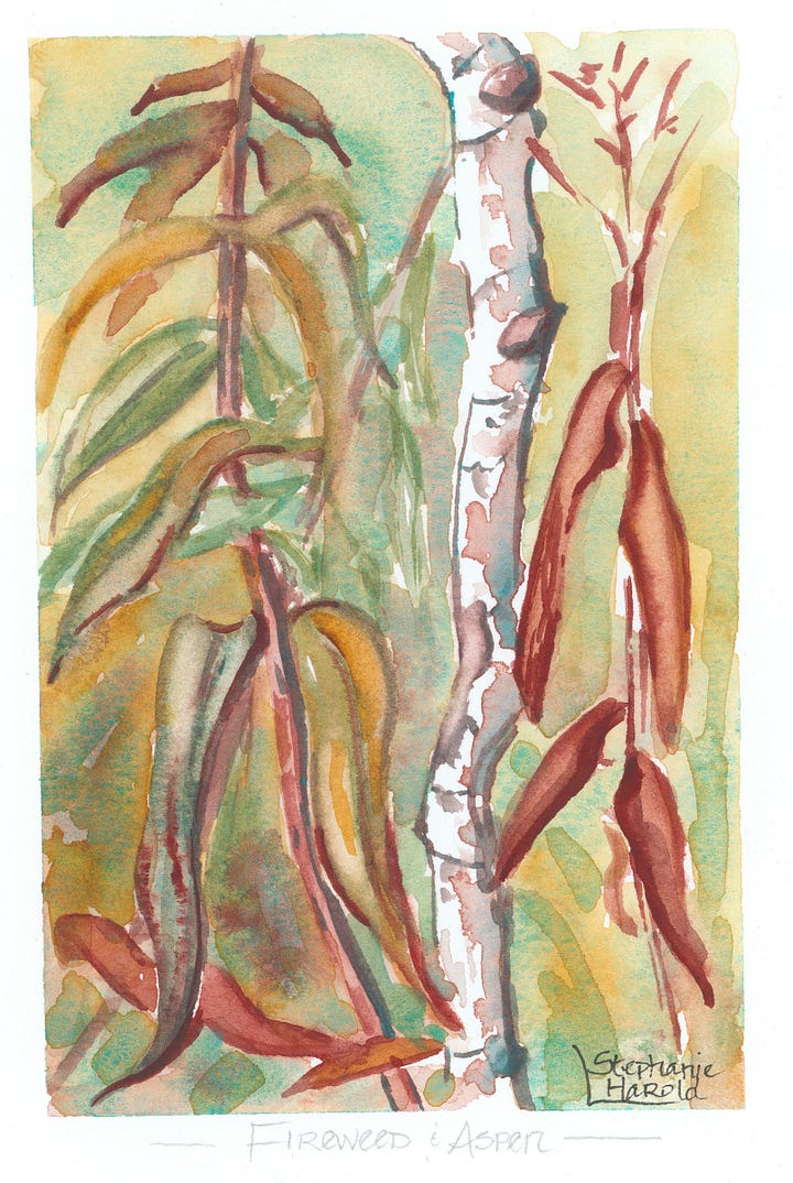 fireweed leaves in red and gold watercolor