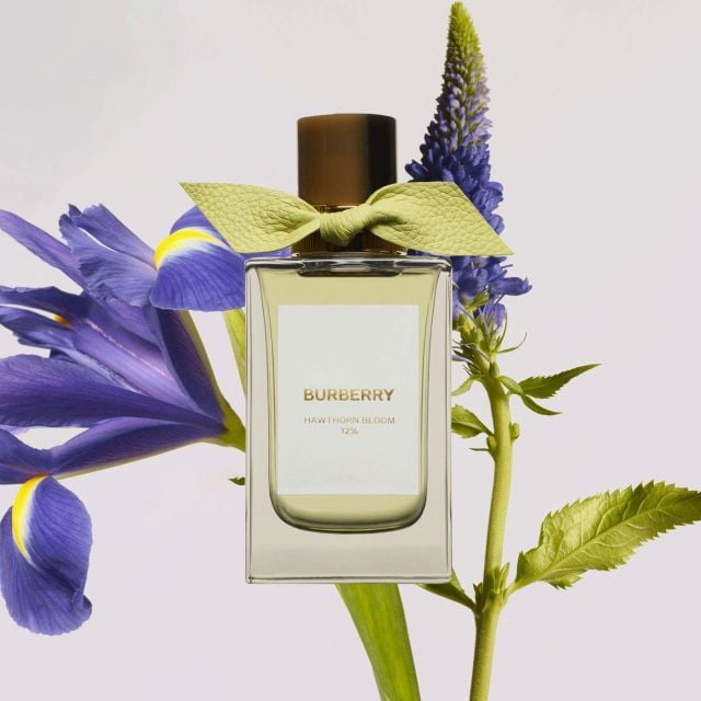BURBERRY Signatures Hawthorn Bloom 12% Eau de Parfum - 100 ml