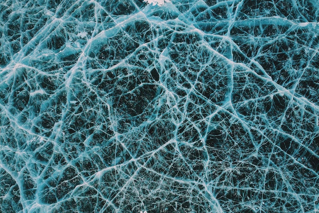 Macro lens view of organic material forming a networked substrate of material. Macro lens view of organic material forming a networked substrate of material.