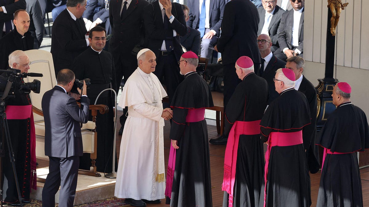 Pope Leo announces October gathering for ‘synodal discernment’ on Amoris laetitia