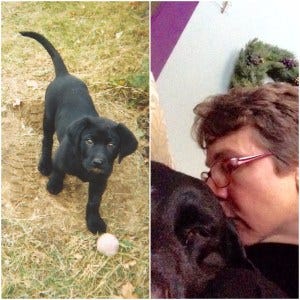 first-and-last-moments-at-home