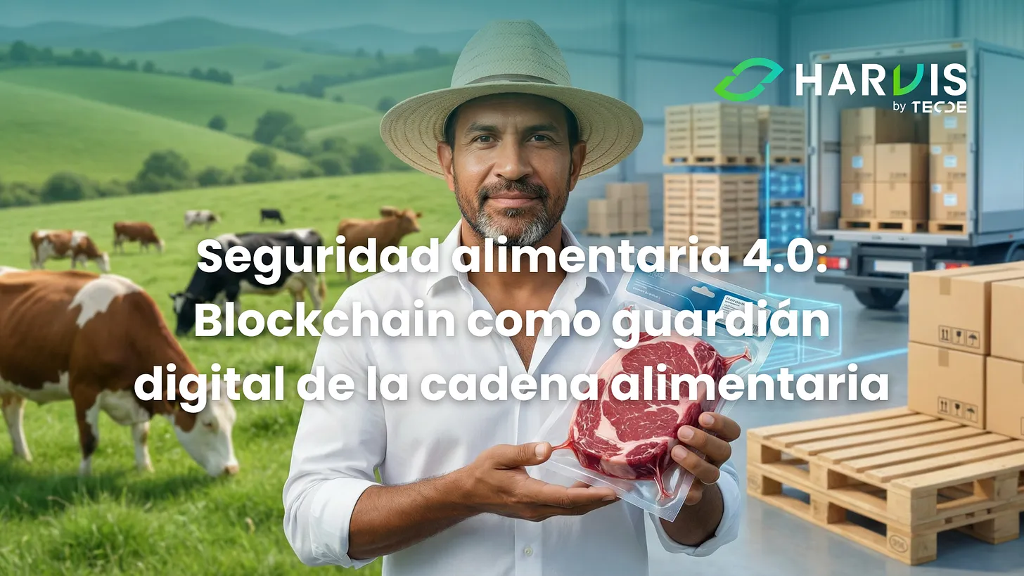 Seguridad alimentaria 4.0: Blockchain como guardián digital de la cadena alimentaria