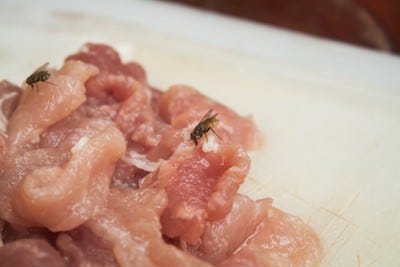 5 Reasons Eating Chicken Is Gross AF - Mercy For Animals