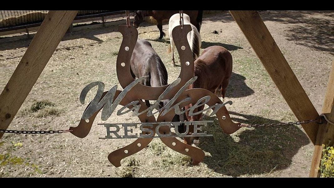 Walker Rescue sign with horses for It Writes Itself episode 3.17. Walker Rescue sign with horses for It Writes Itself episode 3.17.