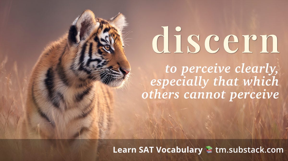 Illustration of a tiger spotting something, as prey, in the distance; used to illustrate the SAT word 'discern'.