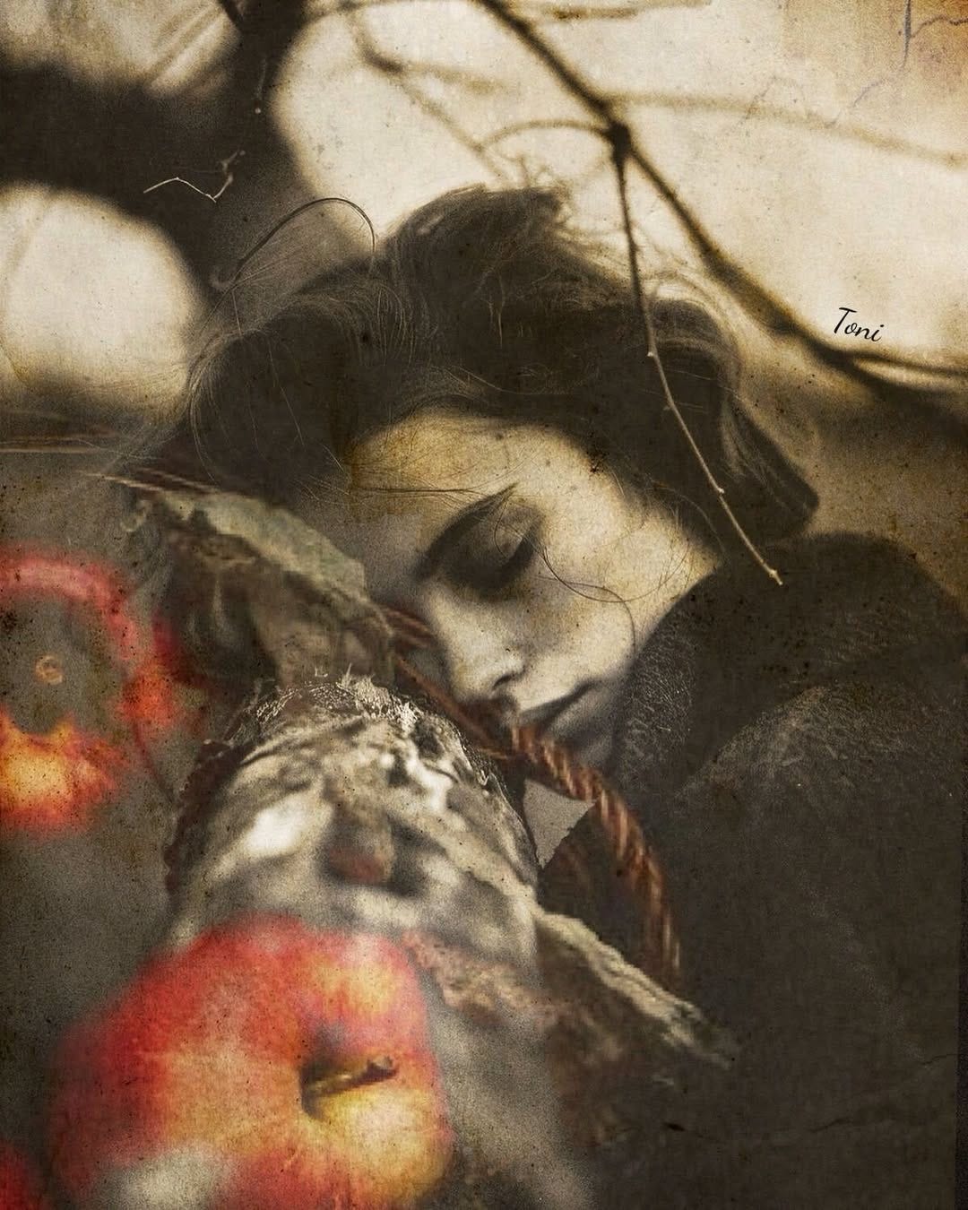 May be an image of apple