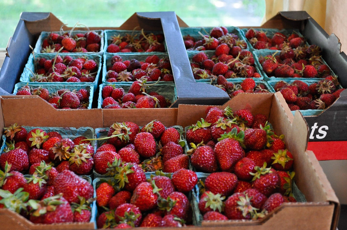 boxes of strawberries