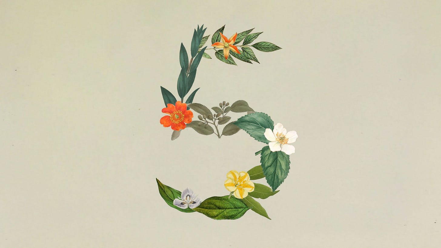 Anthropic macht den Sonnet-5-Einführungspreis dauerhaft: 2 Dollar Input, 10 Dollar Output Anthropic macht den Sonnet-5-Einführungspreis dauerhaft: 2 Dollar Input, 10 Dollar Output