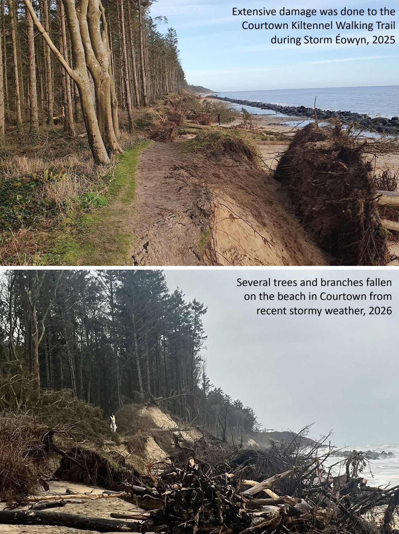 EarthStuff - Assessment of Shoreline Change in Southeast Ireland Using Geospatial Techniques