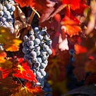 Wine Chronicles: Wine Market Correction Brings Higher Quality, Lower Prices