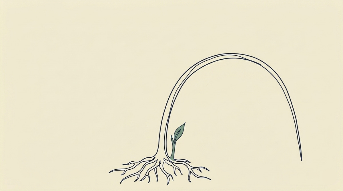 Burnout Is A Warning Sign, Not a Weakness - A single plant stem, rooted at the base of the frame, bends dramatically under its own sustained weight — curving far over to one side, nearly horizontal, the tip almost touching the ground. The stem is not broken. The roots hold. But the arc of the bend is extreme, the posture of something that has been under pressure for a long time. At the very base of the stem, where it meets the ground, a single small new shoot emerges — just beginning, unhurried, pointing upward. It does not know about the bent stem above it. It is simply the next thing.