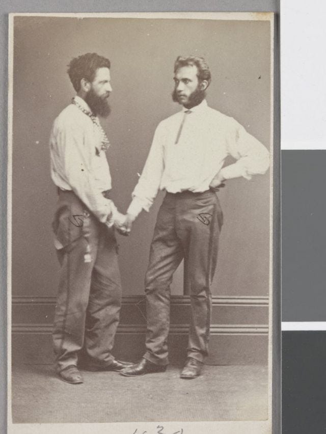 bushrangers bushrangers