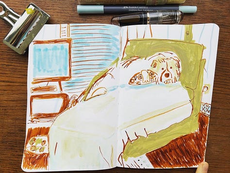 Sketchbook images by Beth Spencer