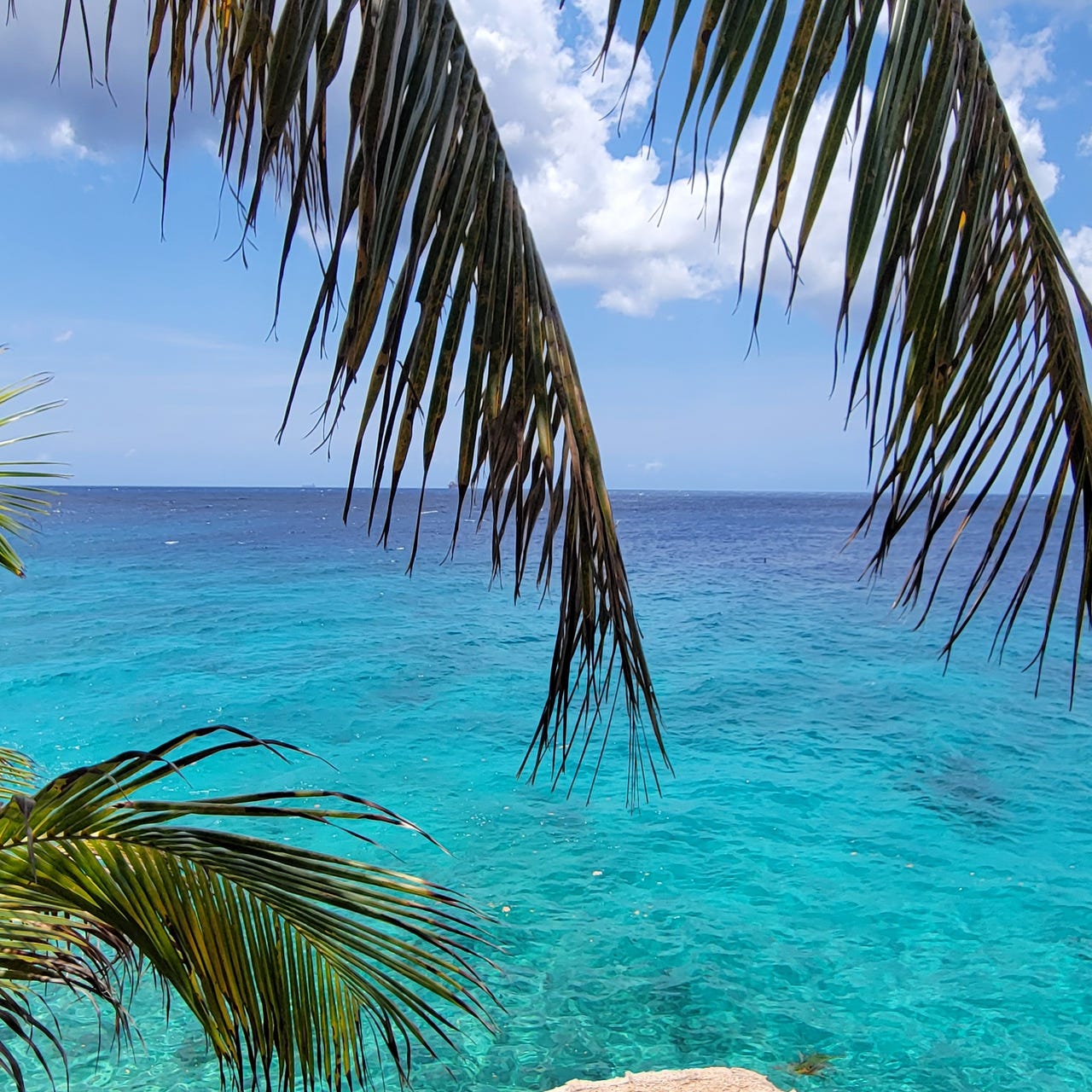 Positive, Creative, Inspirational, Social Justice & More