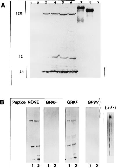 An external file that holds a picture, illustration, etc.
Object name is cd0580216002.jpg An external file that holds a picture, illustration, etc.
Object name is cd0580216002.jpg