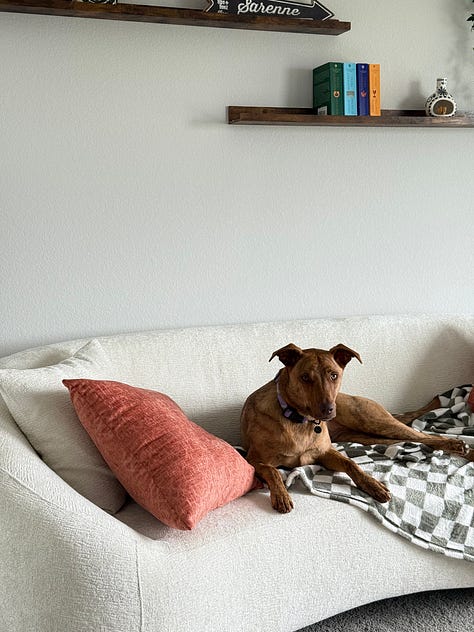 A photo gallery featuring moments from daily life and wellness: a charcuterie board, a cozy dog lounging on a bed, snowy mountain scenes, skiing, smiling couple, a local Boulder shop sign, spring flowers, a knit project, and a scenic desert hike.” This keeps it keyword-relevant (wellness, nature, lifestyle, Boulder, cozy, daily moments) and descriptive enough for accessibility.