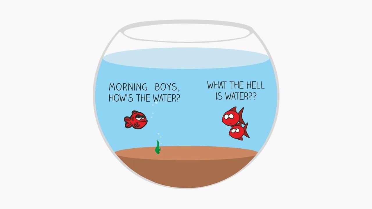 David Foster Wallace: What the Hell Is Water? | "This Is Water"  Commencement Speech (2005)