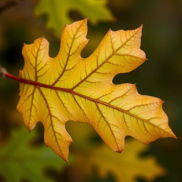 Thus spoke the Oakleaf 