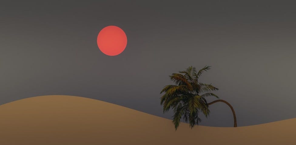 a palm tree in the desert