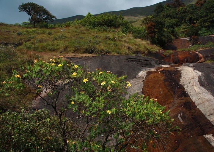 Images of mountains with cloudy skies, mostly grassland with some forest and bare rock.
