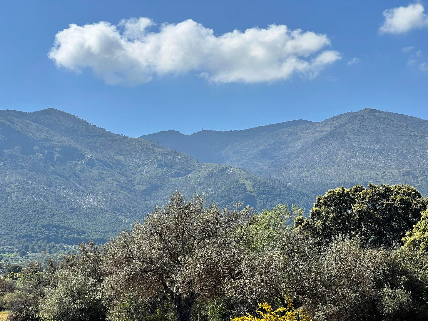Panoramic view of lush green mountains in southern Spain with olive trees in the foreground and a single white cloud drifting above. Panoramic view of lush green mountains in southern Spain with olive trees in the foreground and a single white cloud drifting above.