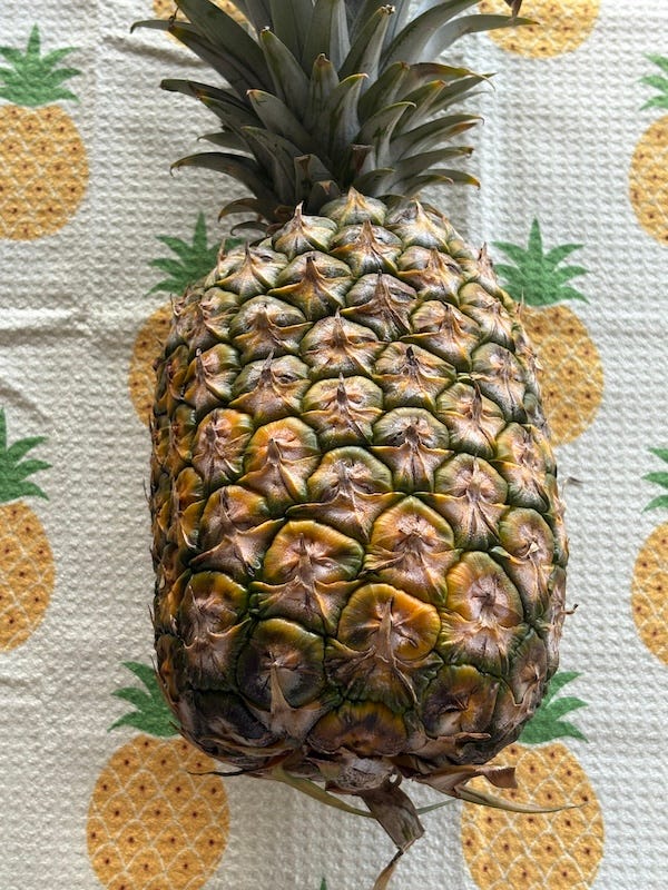 Fresh Pineapple Pie. Wow! - by Greg Patent
