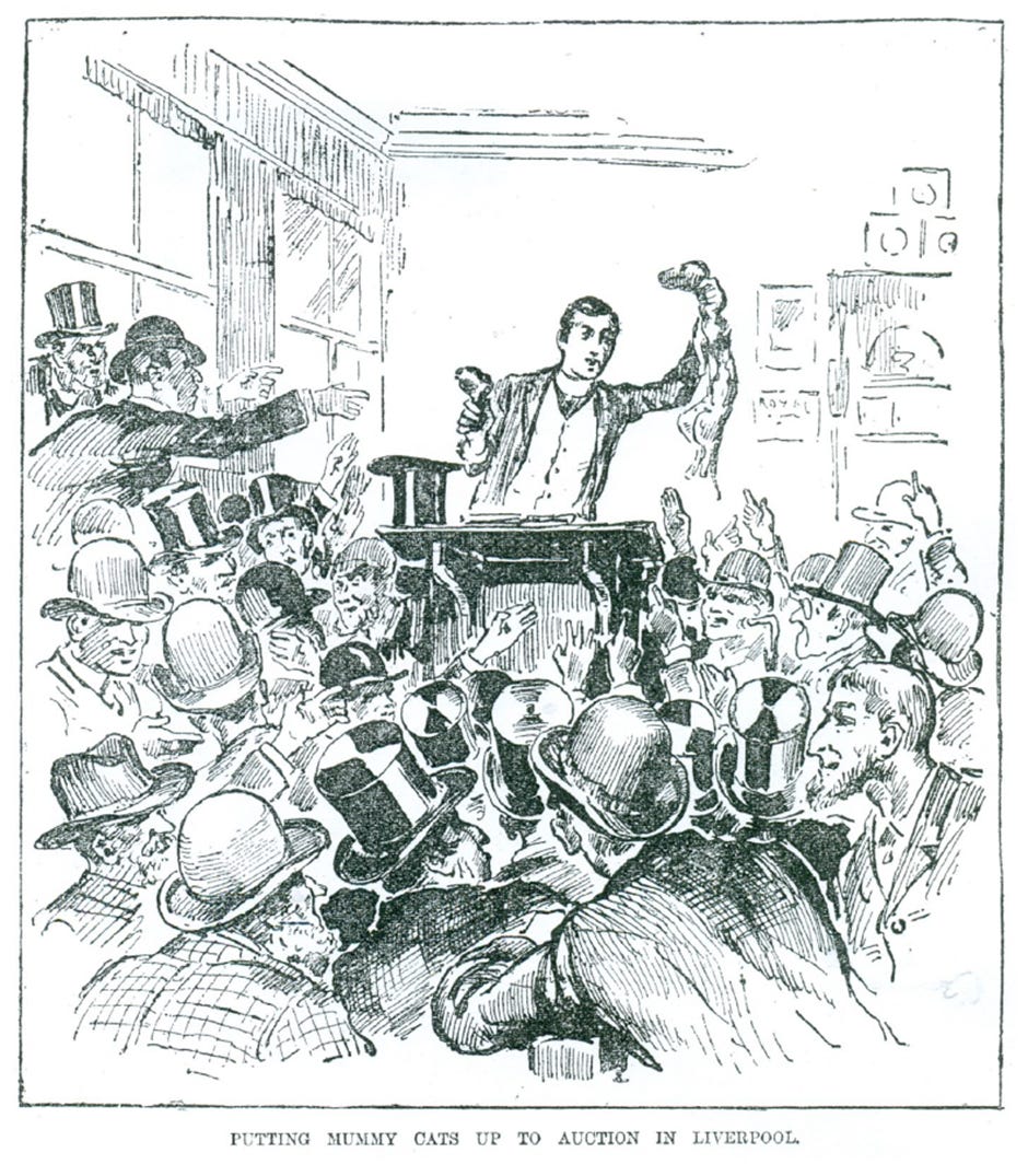 Illustration of the second cat auction held at James Gordon and Co., Rumford Street, Liverpool on 10 February 1890 (Daily Graphic, 12 February 1890; photo: National Museums Liverpool). Illustration shows a large crowd of men, most in hats (some toppers, but also bowlers and others), all crowding round a podium. A man stands behind this brandishing what looks like a dead cat in one hand, and what could be a mummified cat’s head in the other
