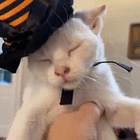 Beyon-SAY WHAT? Tabs, Fri., Oct. 25, 2024