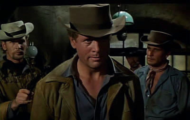 Living In TERF Harmony