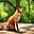 RenardFox's avatar