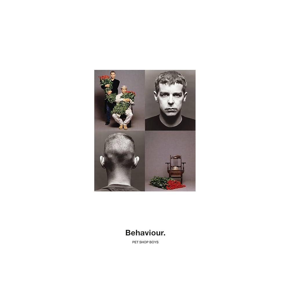 Pet Shop Boys "Behaviour" album art Pet Shop Boys "Behaviour" album art