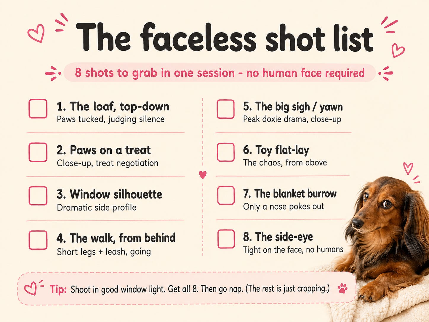 The faceless shot list — 8 shots to grab in one session, no human face required: the loaf top-down, paws on a treat, window silhouette, the walk from behind, the big sigh/yawn, toy flat-lay, the blanket burrow, and the side-eye. The faceless shot list — 8 shots to grab in one session, no human face required: the loaf top-down, paws on a treat, window silhouette, the walk from behind, the big sigh/yawn, toy flat-lay, the blanket burrow, and the side-eye.