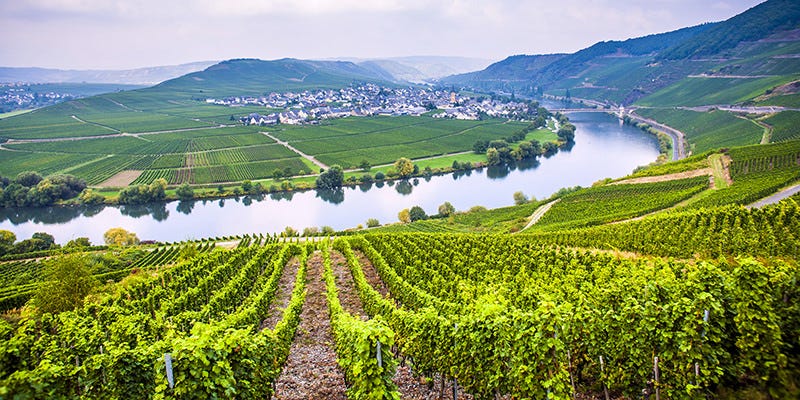 wine-rivers-inside wine-rivers-inside