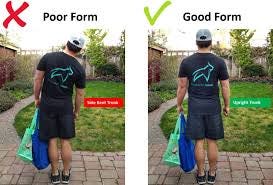 Functional Trunk Training Exercises ...