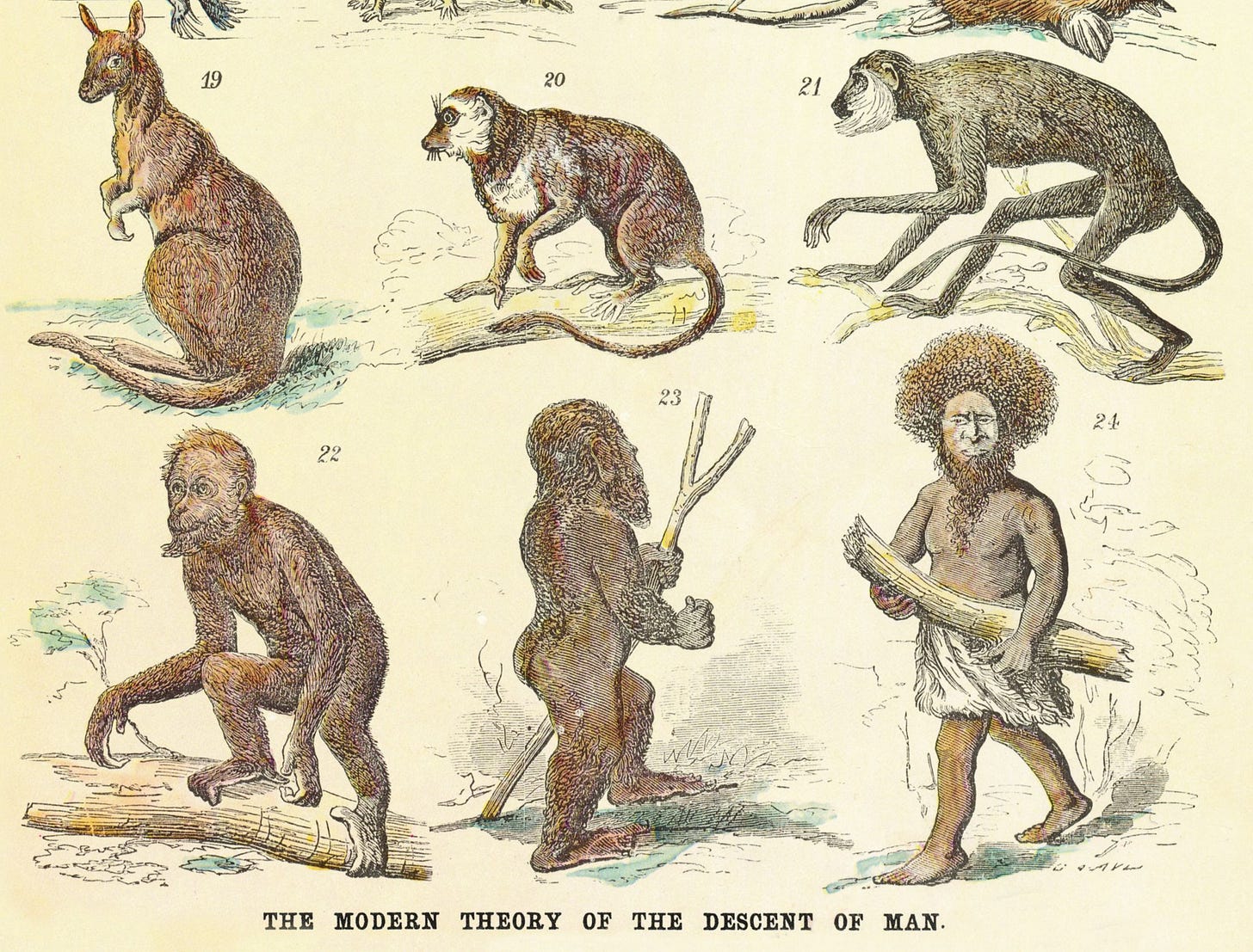 Why Evolutionism is Not Acceptable: Divine Creation vs. Godless Naturalism