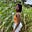 Rose 🥭's avatar
