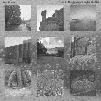 cover art cover art