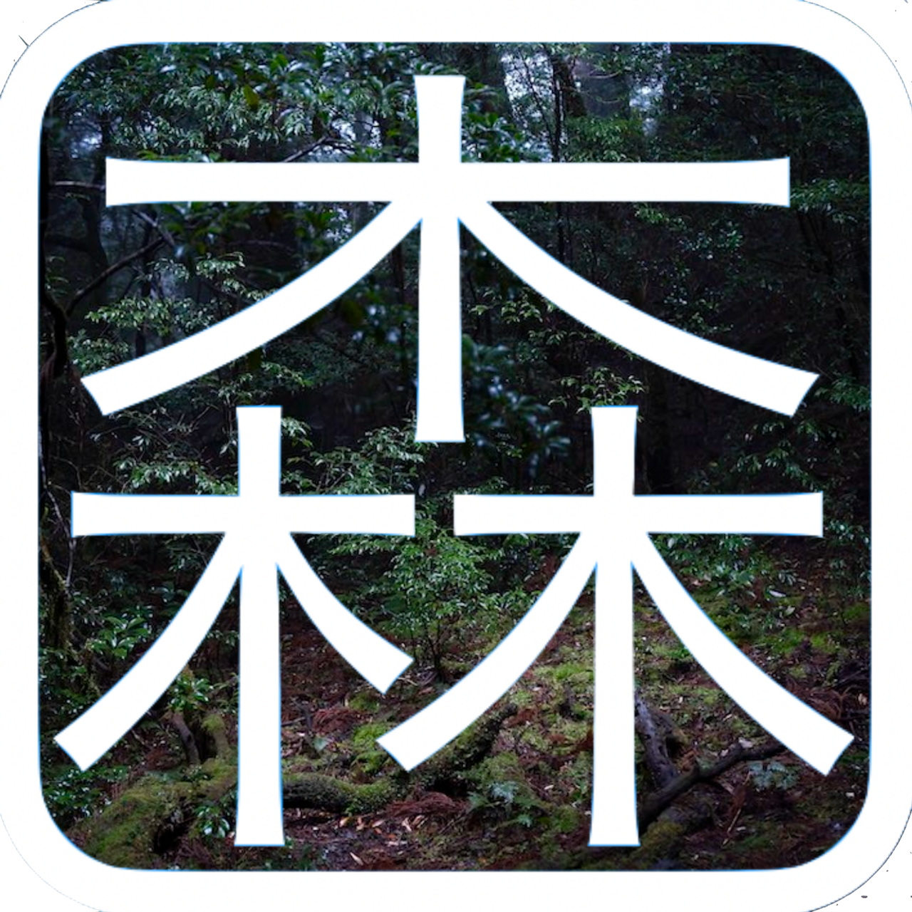 THE FOREST SHIFT