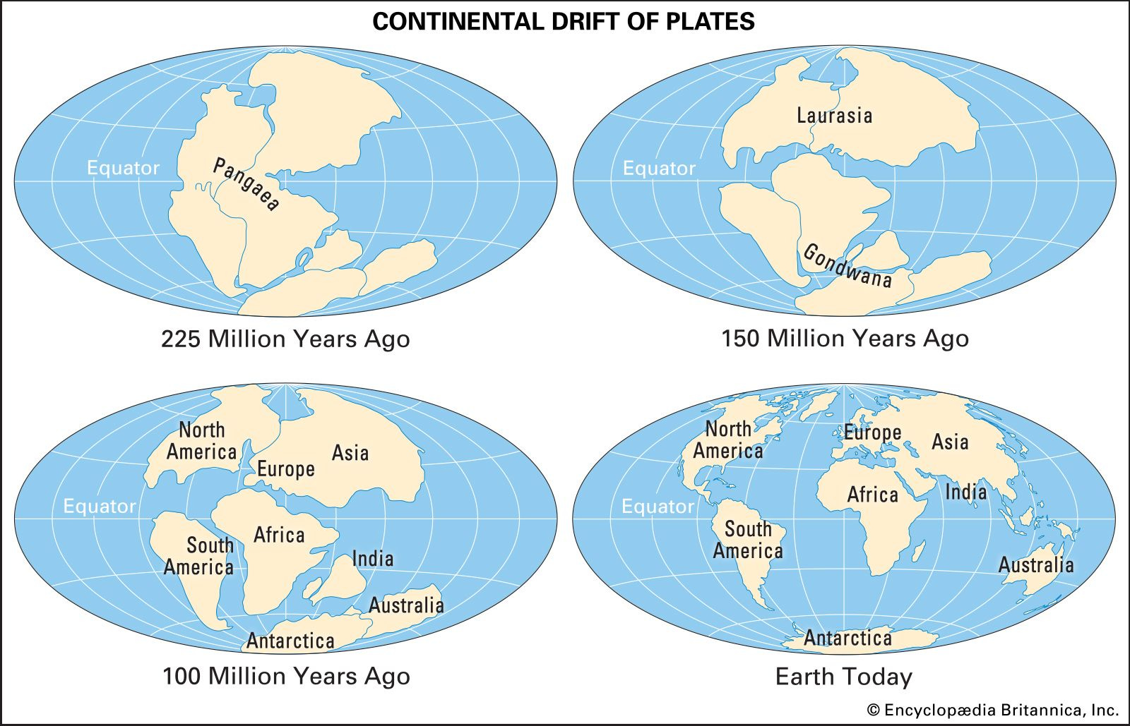 Pangaea Rug The Pangaeas that were and the Pangaeas to come