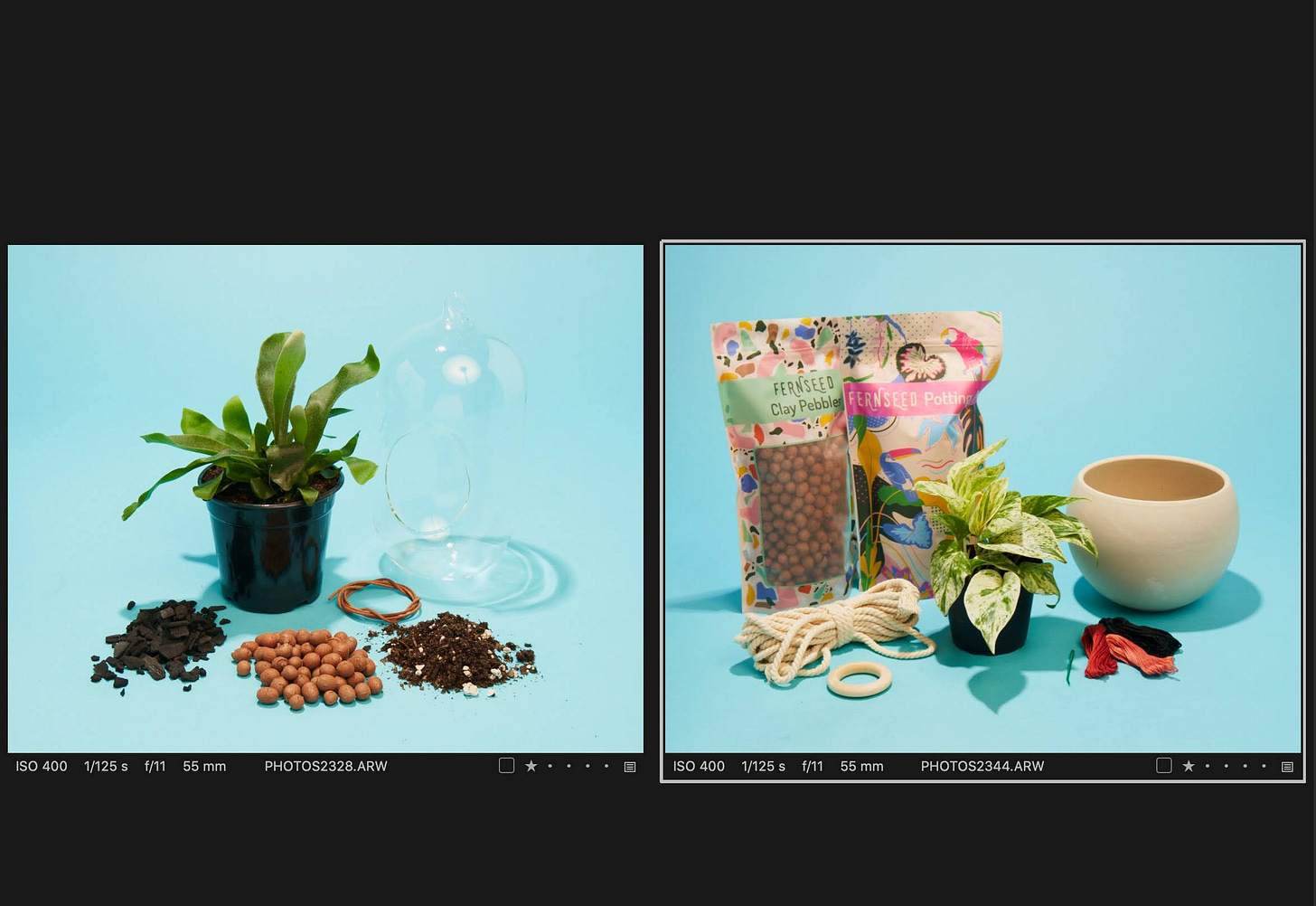 side by side photos of plants and kit materials on a backdrop side by side photos of plants and kit materials on a backdrop