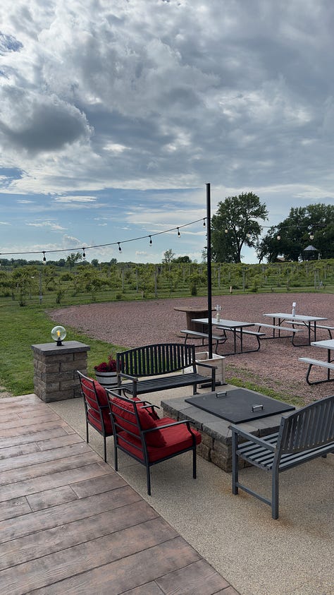 Two very cheesy pizzas on wooden planks and a fizzy drink topped with blackberries in a mug. | A back patio with fire pit, plenty of seating, and a vineyard. | A person holding a bright orange drink in a mug reading “Painted Prairie”