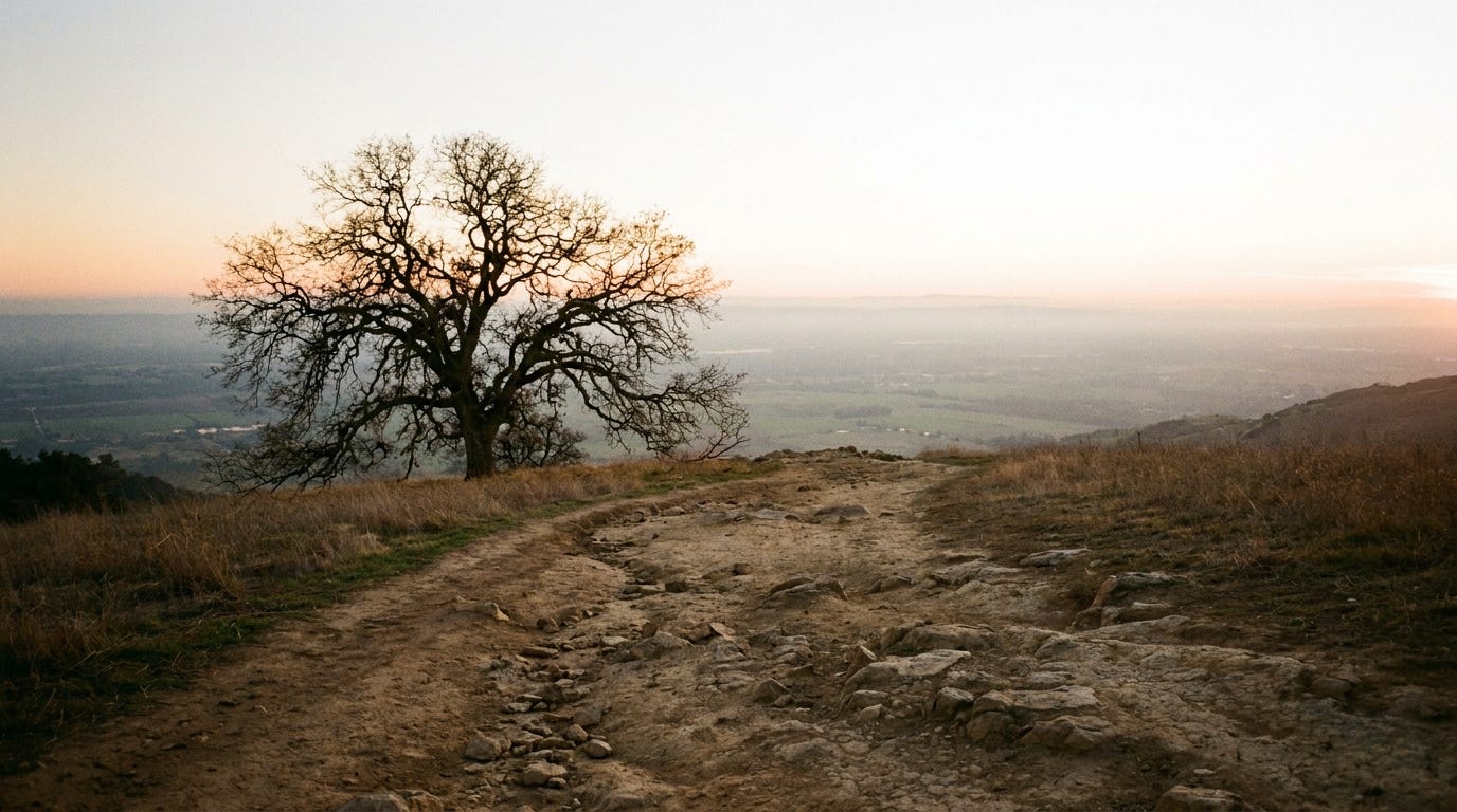 An empty hilltop path at dusk near an old oak, looking east over a long hazy valley toward a distant plain, a few stones at the edge of the path, no people, no faces, no text